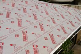Roof Re-nail