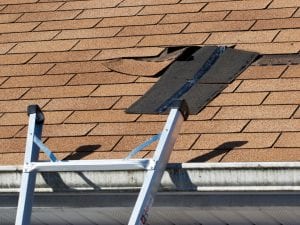 Roof Repairs in Ft. Myers, Florida
